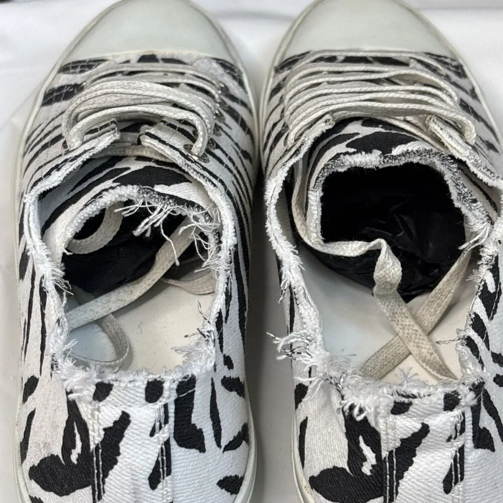 Saint Laurent Paris Zebra Print Low Top Sneakers Canvas Shoes New Box Dust Bag